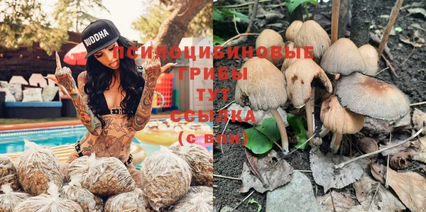 каннабис Богородицк