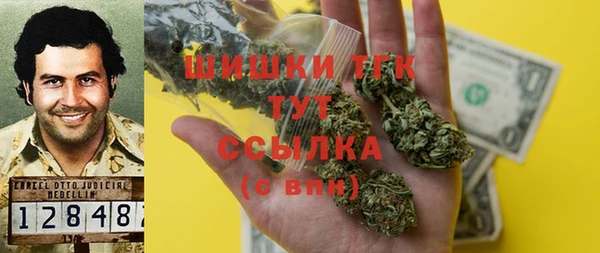МДПВ Богородск